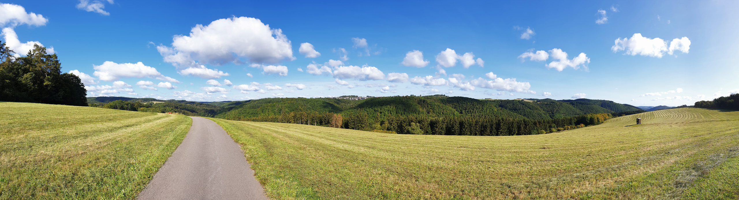 Panorama zwischen Aremberg und Fuchshofen